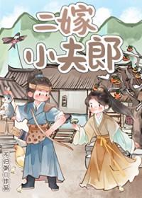 二嫁小夫郎沈宴全文